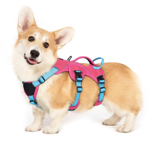 Escape Proof Dog Harness for Small (Sky & Peach & Rose / Small)