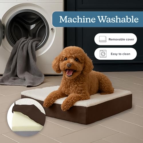 Orthopedic Dog Bed (Brown / Small)