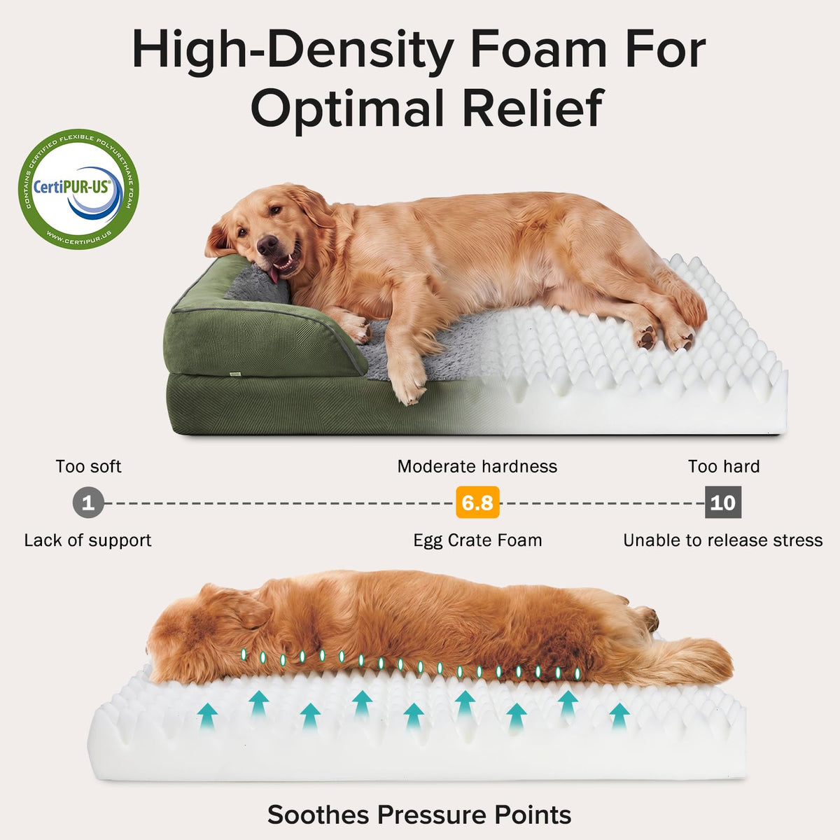 Orthopedic Extra Large Dog Bed (Green / XXL (48"x 35"x 7.5"))
