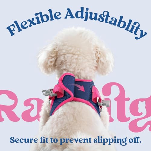 Dog Harness Small Sized and Leash Set (Navy Blue & Rose Red / XS (Chest: 13.3"-15.5"))