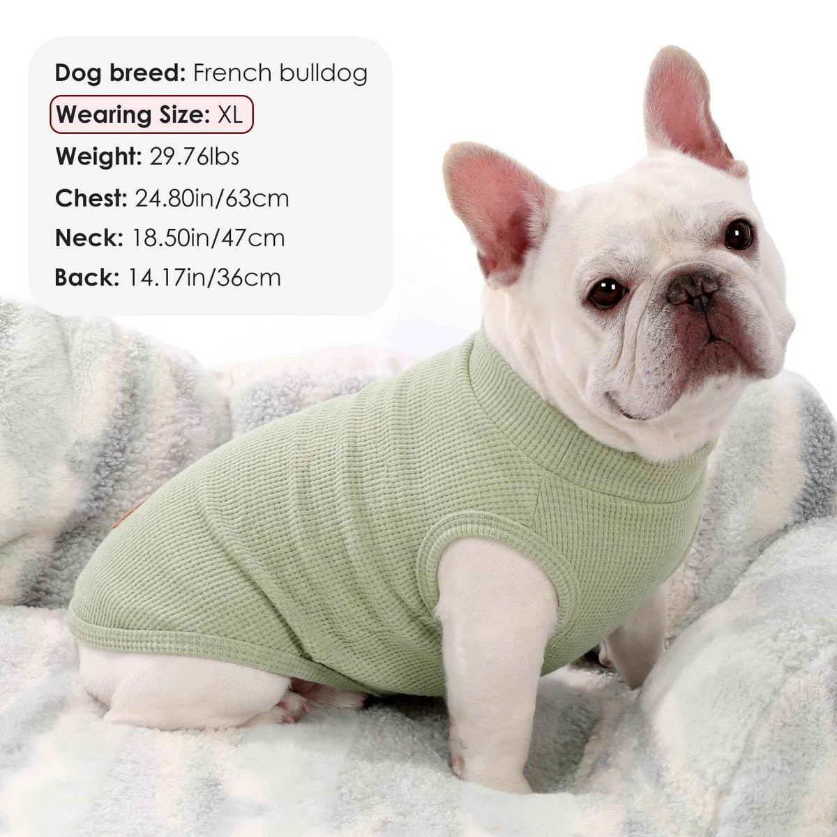 2Pack Dog Shirts Lightweight Waffle Dog Shirt for Small Dogs Sleeveless Dog Shirt for Small Medium Boy Girl Dogs Cozy & Breathable Pet Vest (S(Back: 11.8", Chest: 15.7", 5.5-8.8lbs) / Light green+Light pink)