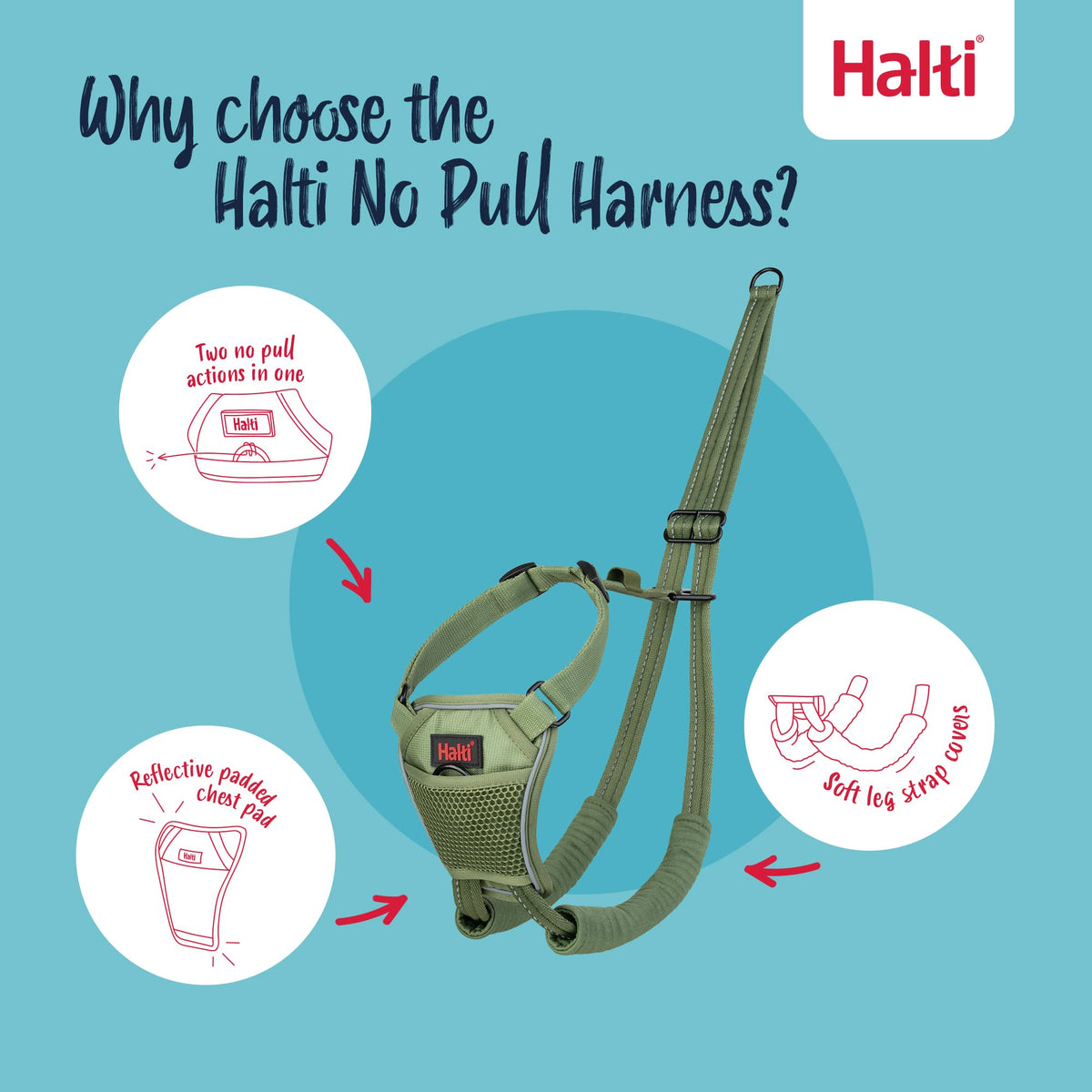 No Pull Dog Harness (Forest Green / S)