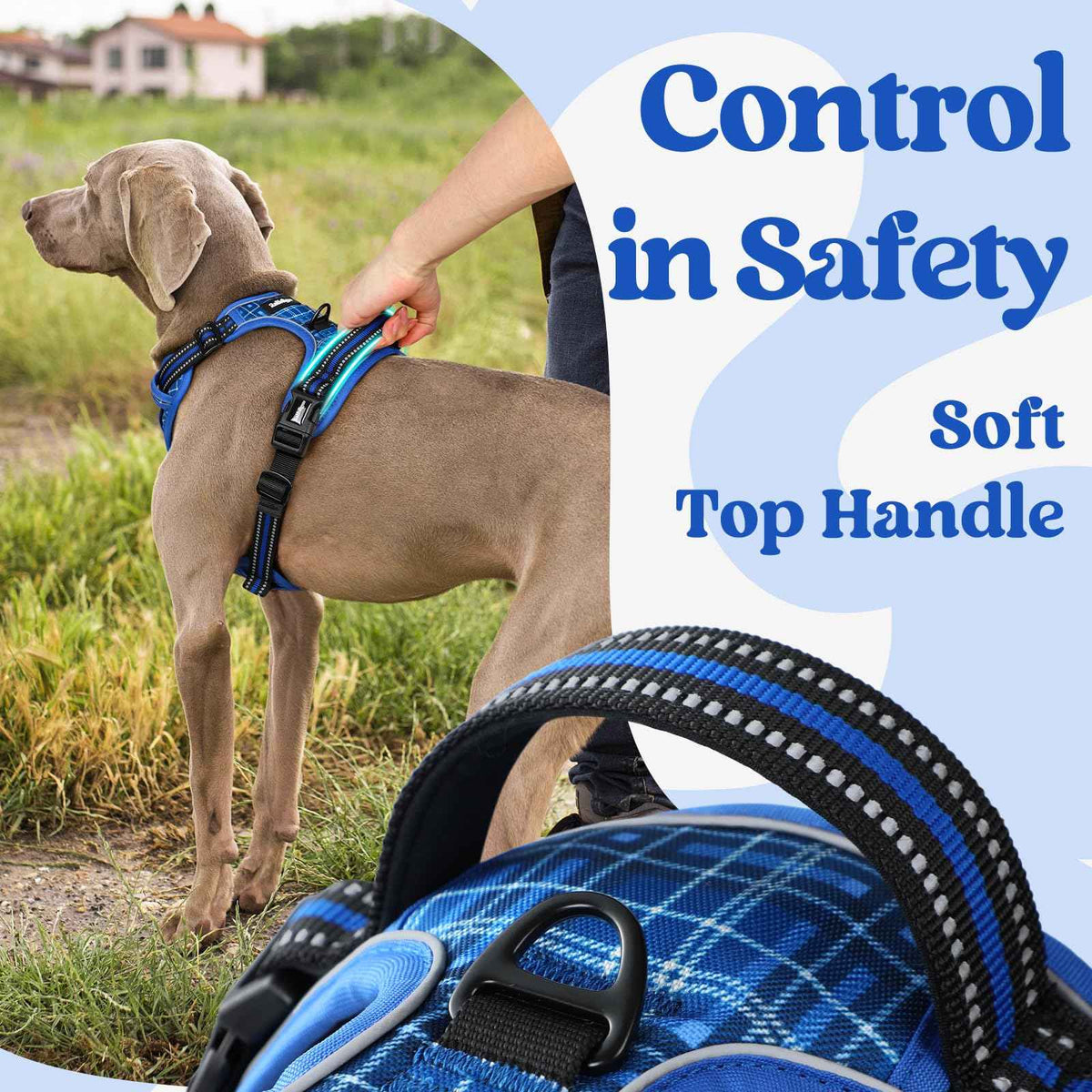 Dog Harness for Large (Blue Plaid / X-large)