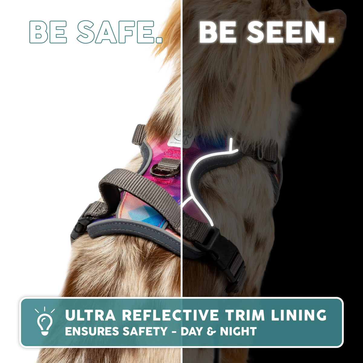 Embark No Pull Dog Harness (S / Santa Monica)