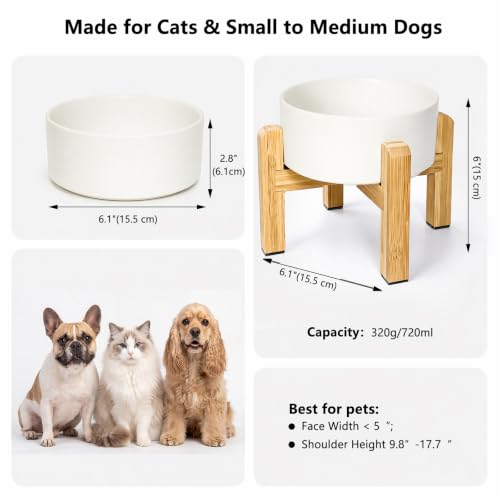 Raised Dog Bowl (Medium-2 / White)
