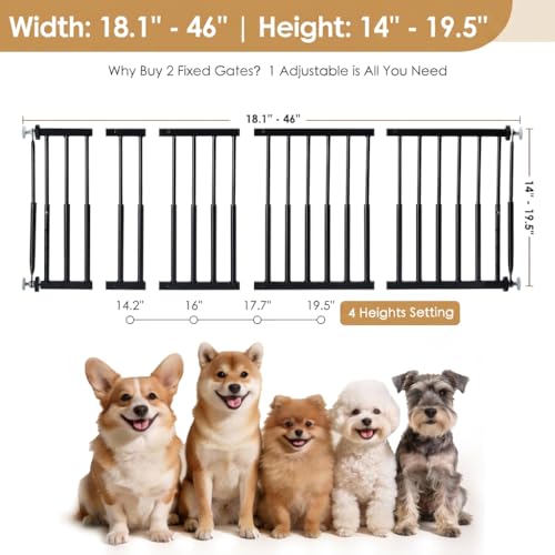 14'' 19.5'' Height Adjustable Dog Gate (Black / 14''-19.5''H × 18''-46''W)