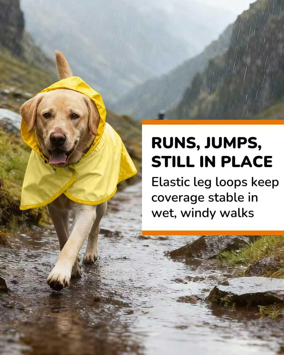 Waterproof Dog Raincoat with Hood (XX-Large / Yellow)
