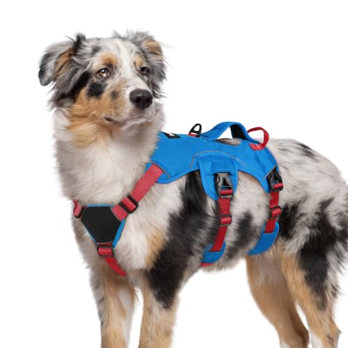 Escape Proof Dog Harness for Medium (Red & Blue / Medium)