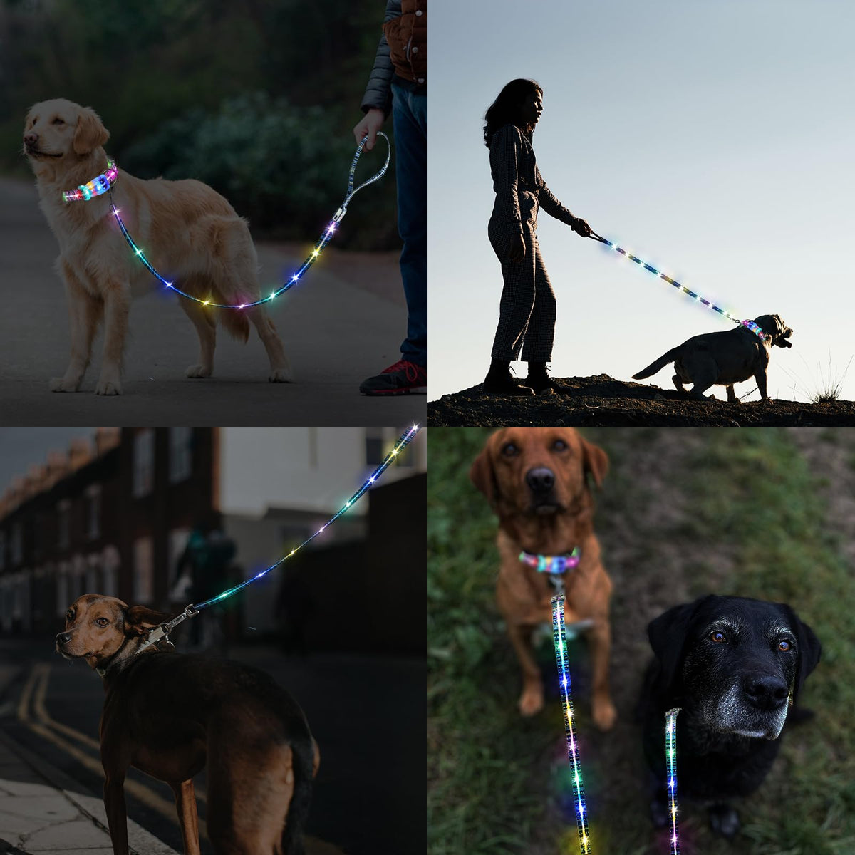 Light Up Dog Leash USB Rechargeable for Small Medium Large Dogs (Bohemian Orange / L59in/W1in)