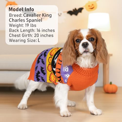 Dog Halloween Sweater for Small Dogs Pumpkin Ghost Knit Outfit (Large (11-19lbs) / 02#Halloween)