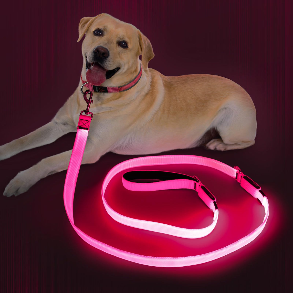 LED Light Up Dog Leash (Pink / 6 Ft)
