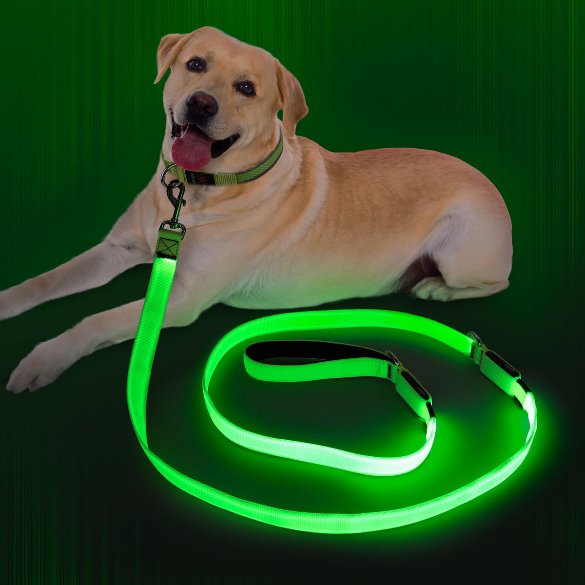 LED Light Up Dog Leash (Green / 6 Ft)