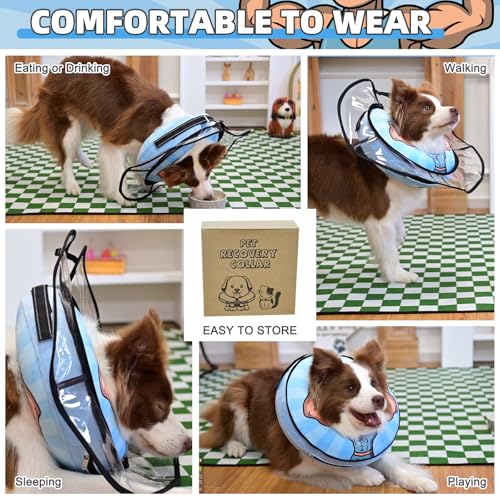 Inflatable Dog Cone Collar Alternative After Surgery (Hercules, with a transparent border / M+ (Neck:13-15in))