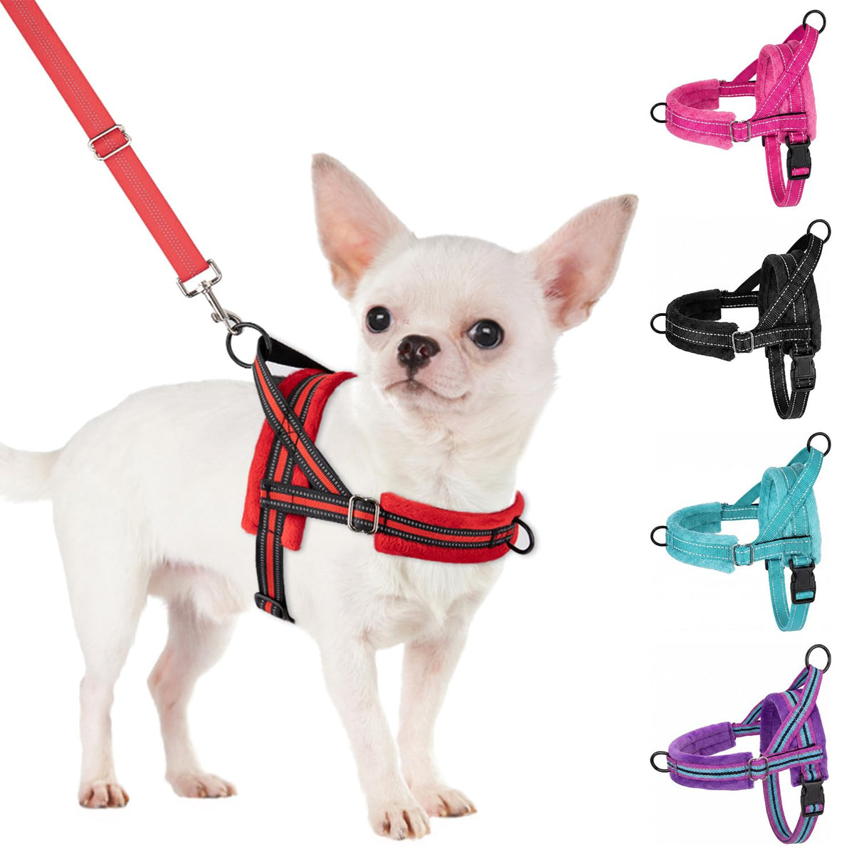 No Pull Small Dog Harness and Leash Set with Front Clip (XX-Small / Red)