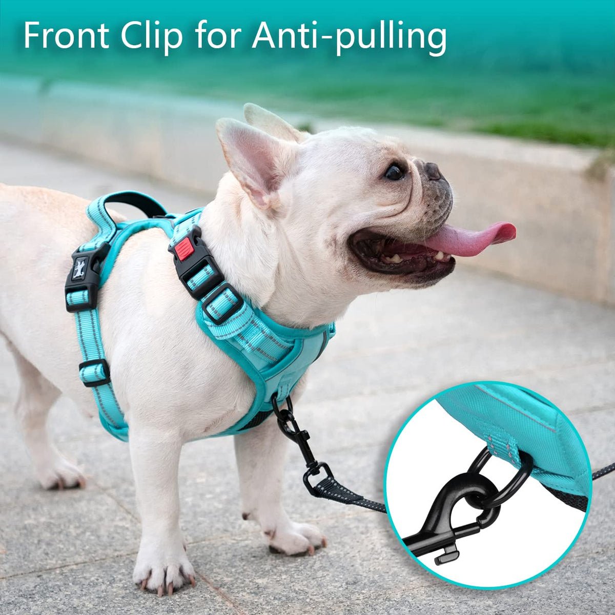 No Pull Dog Harness (Medium / Mint Blue(Matching Trim))