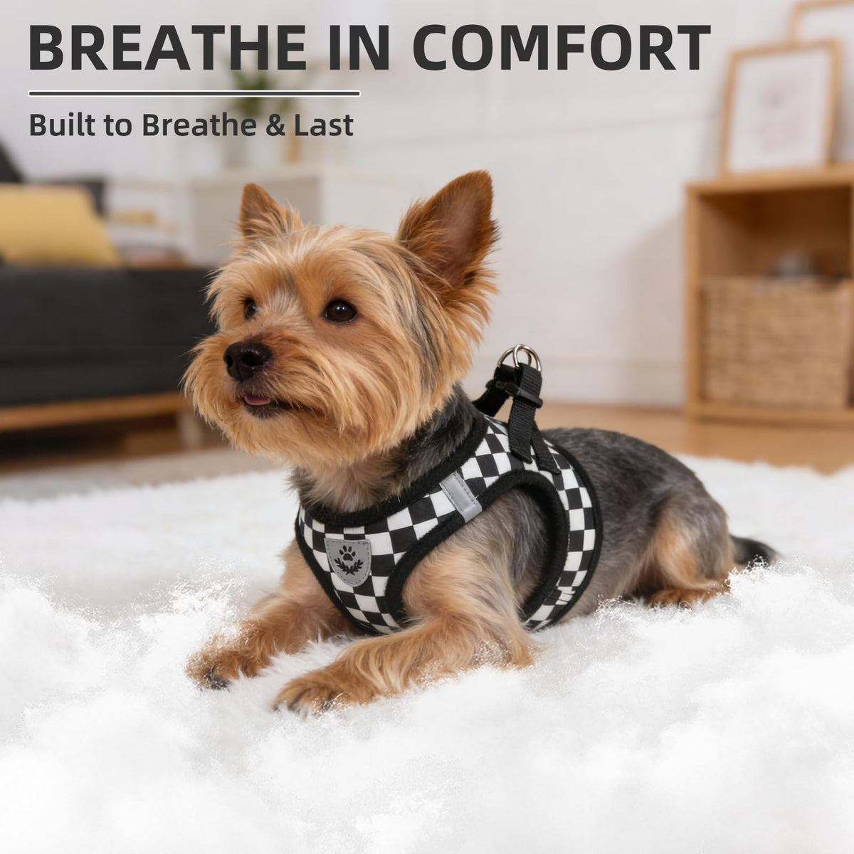 Dog Harness Collar and Leash Set No Pull for Small Medium Sized (Black&White (Checkered) / L (CHEST 18"-20"))