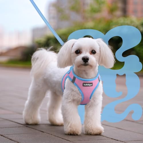 Dog Harness Small Sized and Leash Set (Pink & Blue / M (Chest: 16.0"-18.5"))