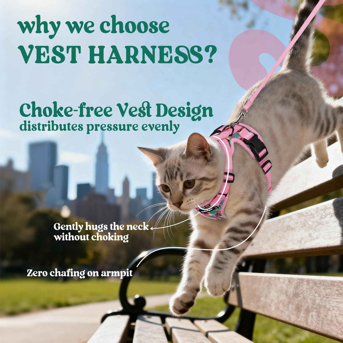 Cat Harness and Leash Set (Xxs / Melon Munch)