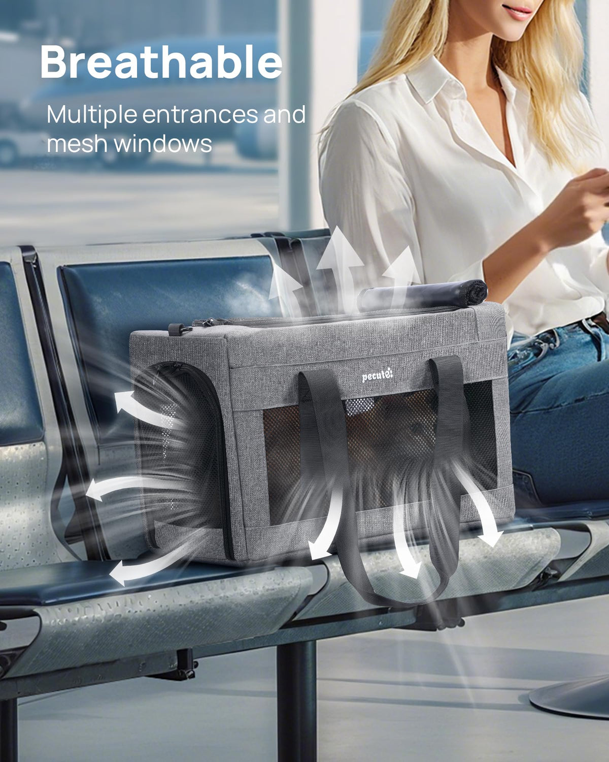 Airline Approved Cat Carrier (Grey / 16.7"L x 11.0"W x 9.0"H)