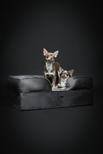 Dog Bed 28x23x11 Inch (Velvet - Dark Green / Medium)