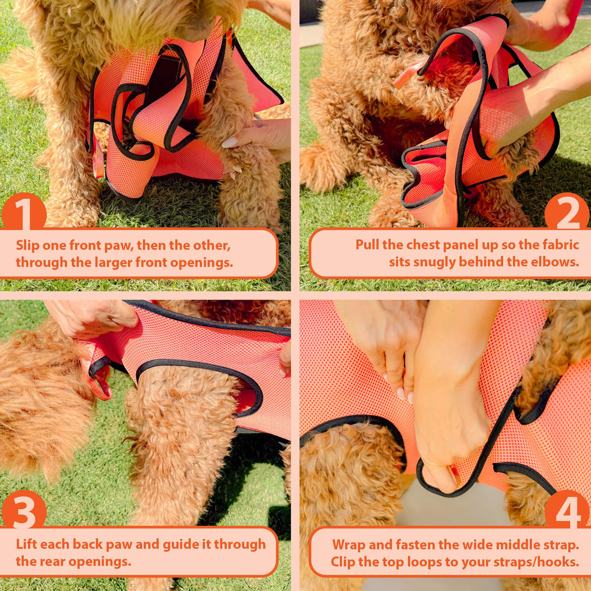 PawsUp Pet Grooming Hammock Kit for Large Dogs