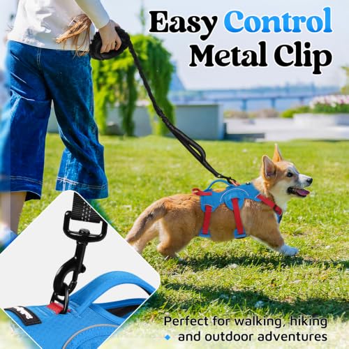 Escape Proof Dog Harness for Small (Red & Blue / Small)