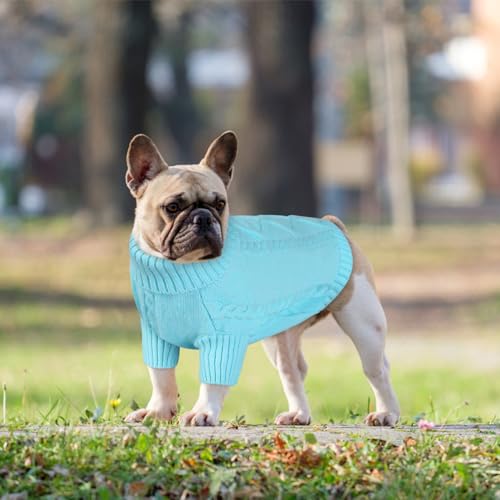 XXL Dog Sweater (XX-Large / Sky Blue)