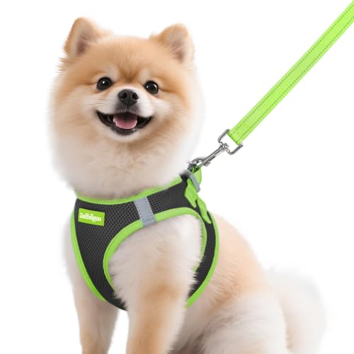 Dog Harness Small Sized and Leash Set (Black & Green / M (Chest: 16.0"-18.5"))