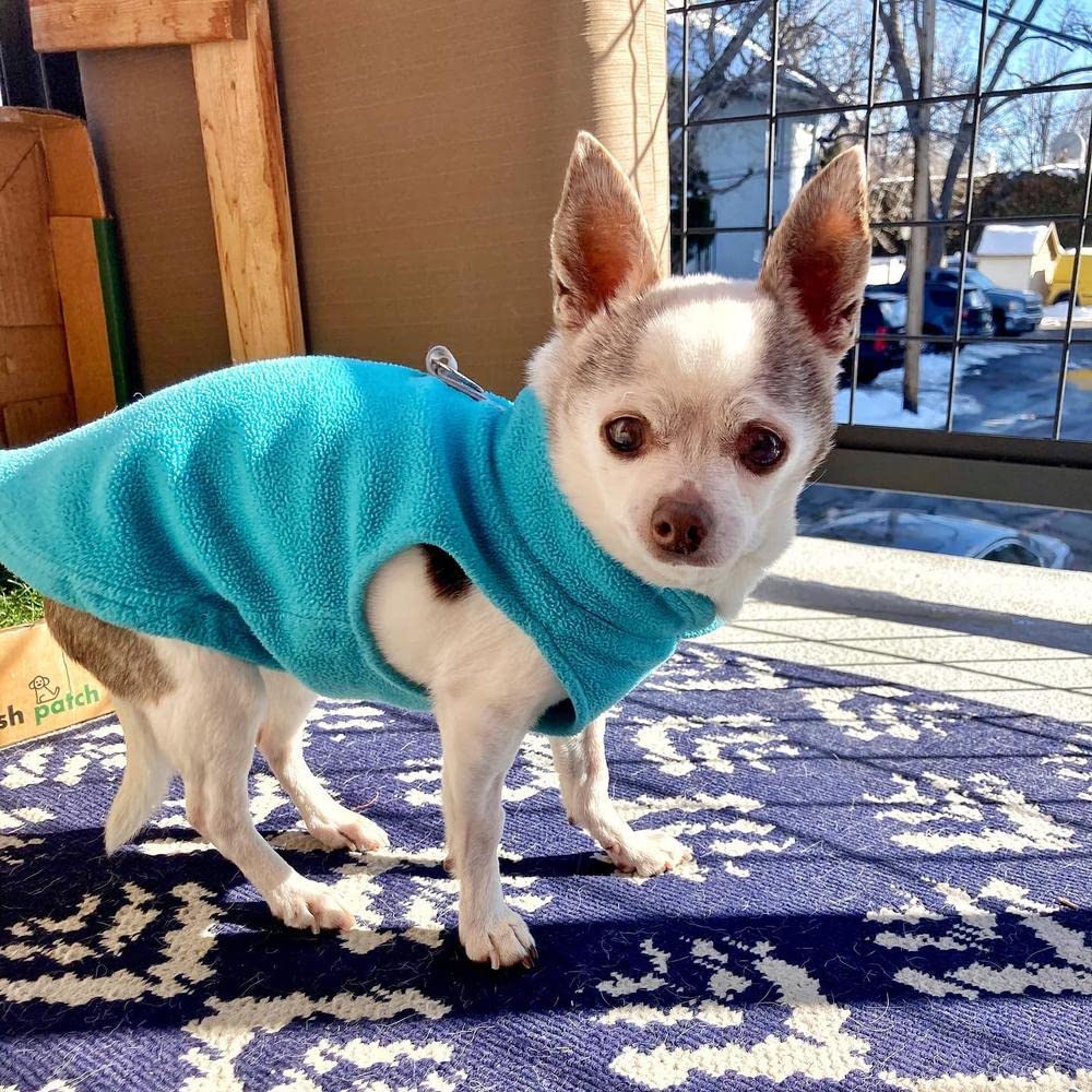 Fleece Vest Dog Sweater (Turquoise / Medium (Around 11-lb))