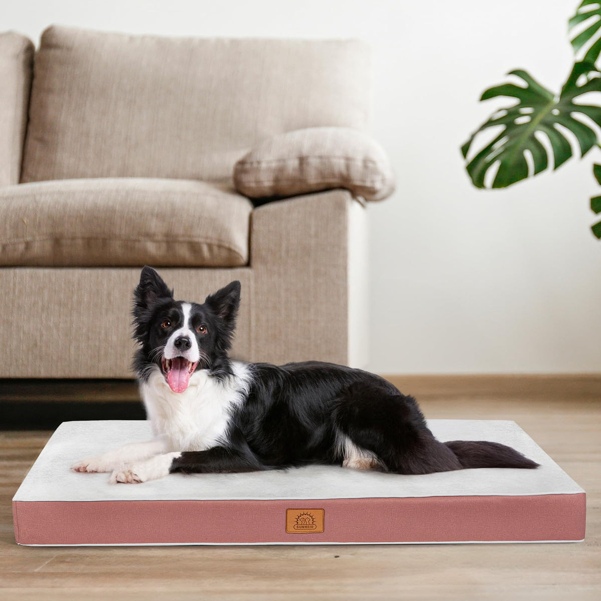 Extra Large Orthopedic Dog Bed (Pink / 47.5"L x 29.0"W x 4.0"Th)