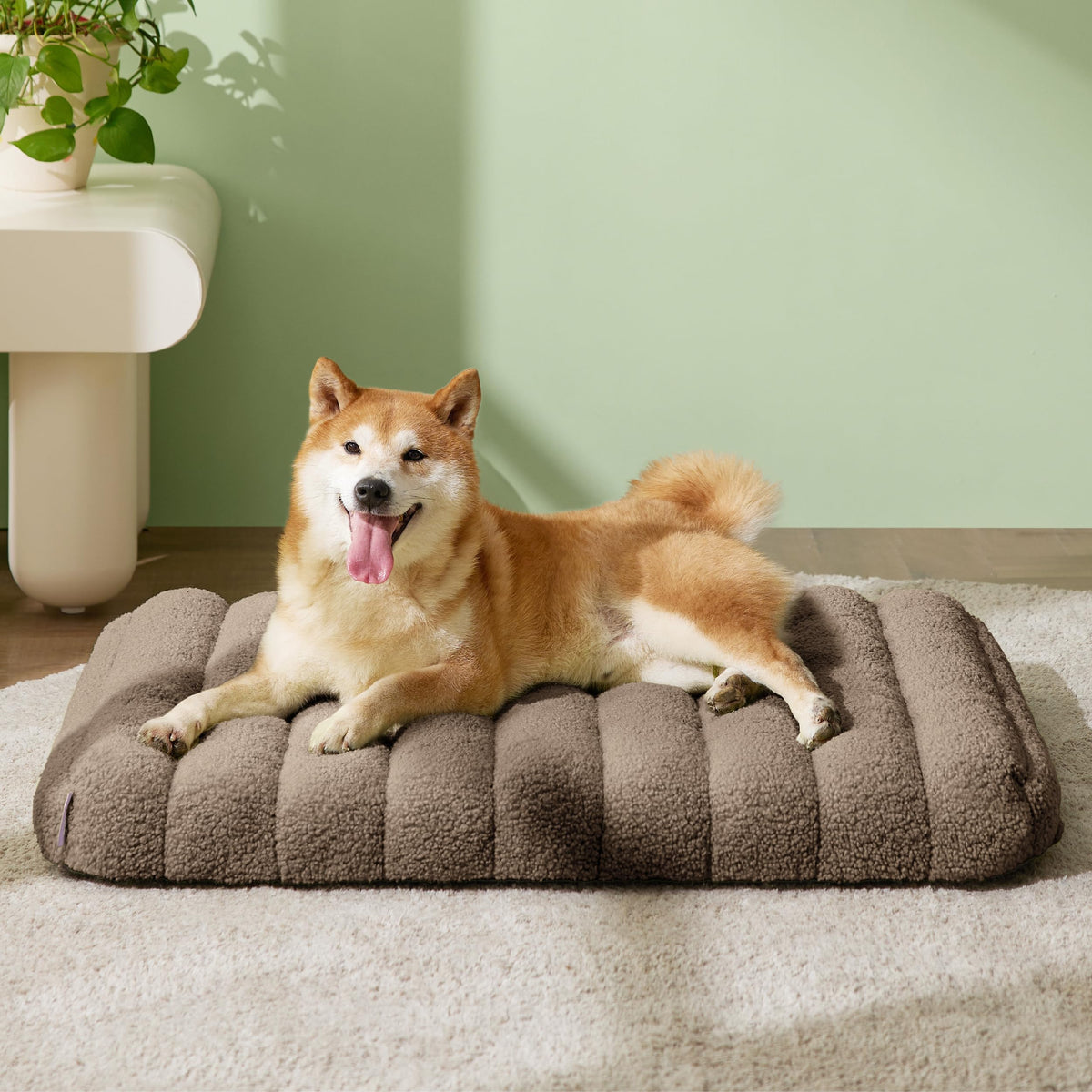 Cute Orthopedic Dog Bed Medium Size Dog (30"L x 20"W x 4"Th / Brown)