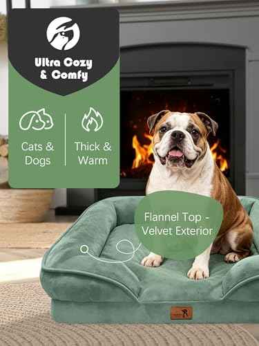 Orthopedic Dog Bed with Sides (35.0"L x 25.0"W x 6.5"Th / Green)
