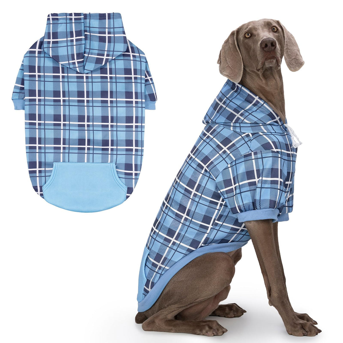 Plaid Dog Hoodie (Blue / X-Large)