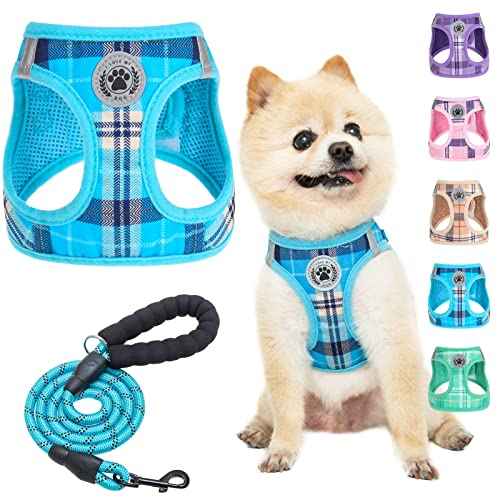 Small Dog Harness and Leash Set (XSmall(Chest Girth 13" - 14.5") / Blue)