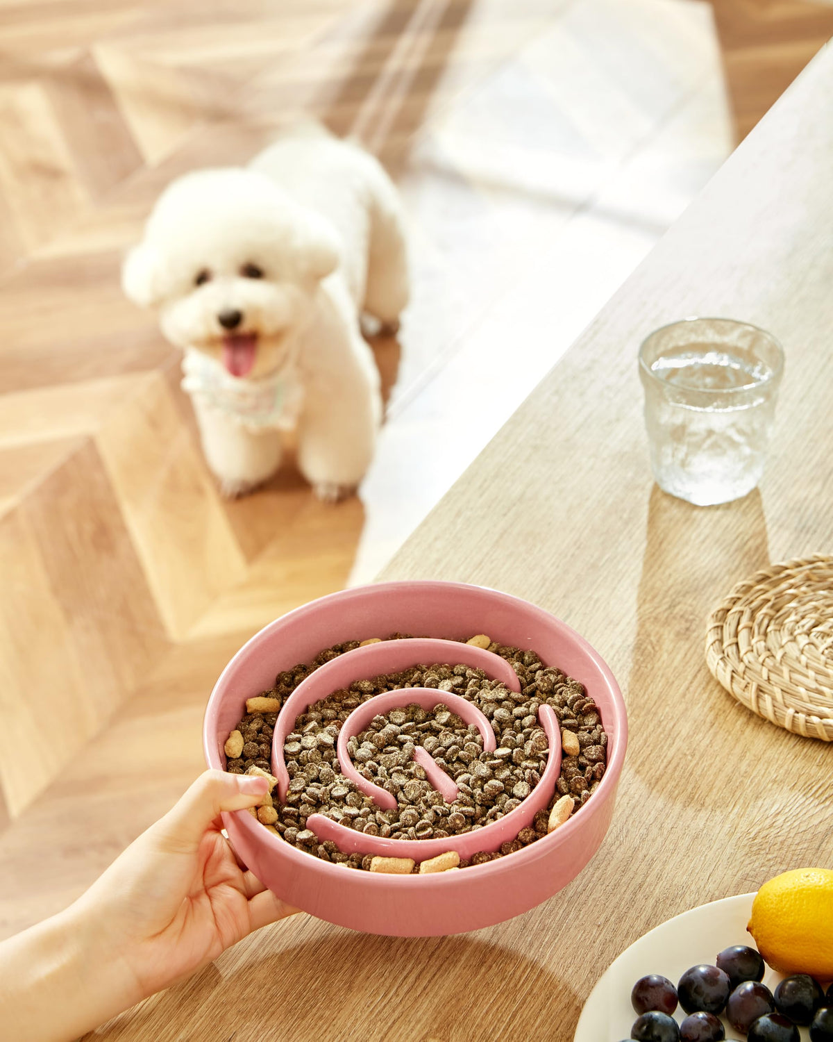 Ceramic Slow Feeder Dog Bowls (Pink / 8 Inches)
