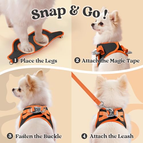 Dog Harness Small Sized and Leash Set (Black & Orange / M (Chest: 16.0"-18.5"))