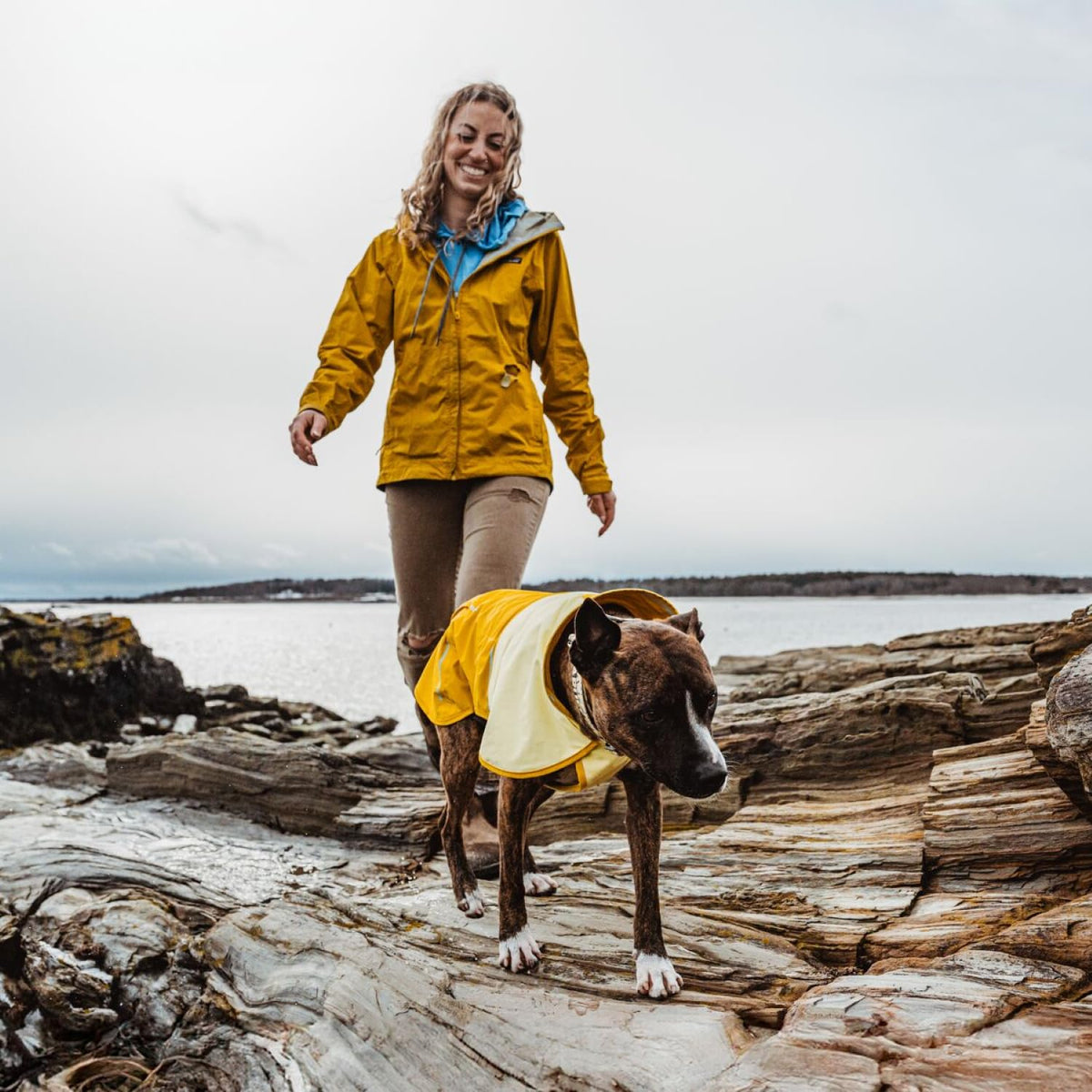 Sun Shower Dog Raincoat (Mineral Yellow / X-Large)