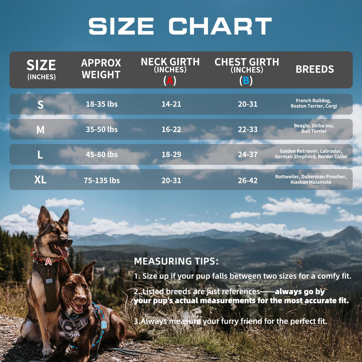 Dog Harness for Small Medium Dogs (Grey / S(Neck:14-21",Chest:20-31"),18-35 lbs)