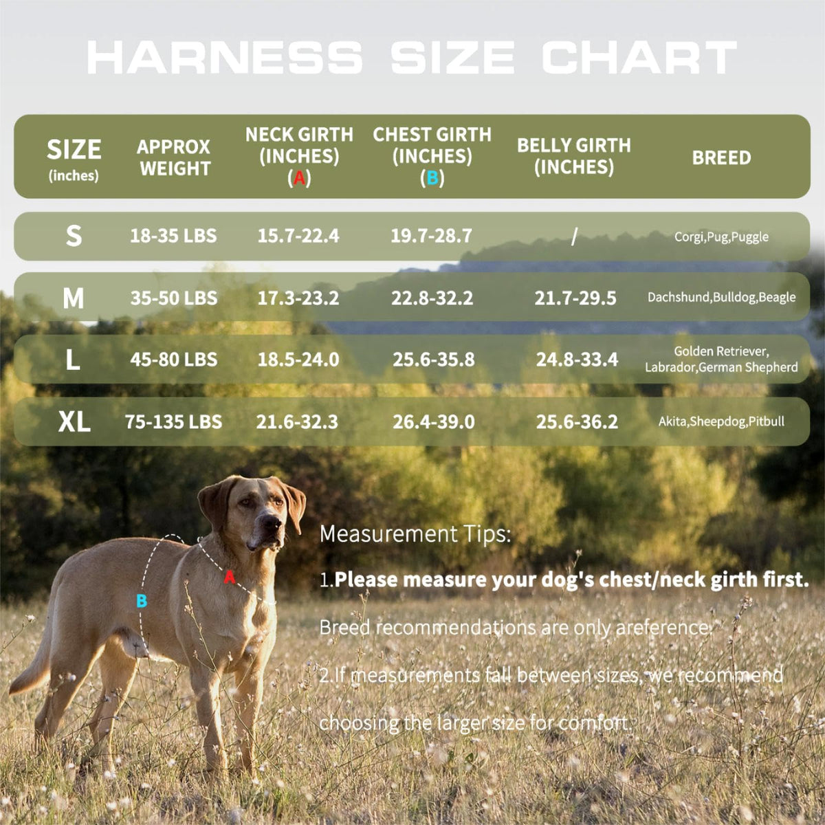 Dog Harness for Large Dogs (Green / L(Neck:18-24",Chest:25-36"),45-80 lbs)