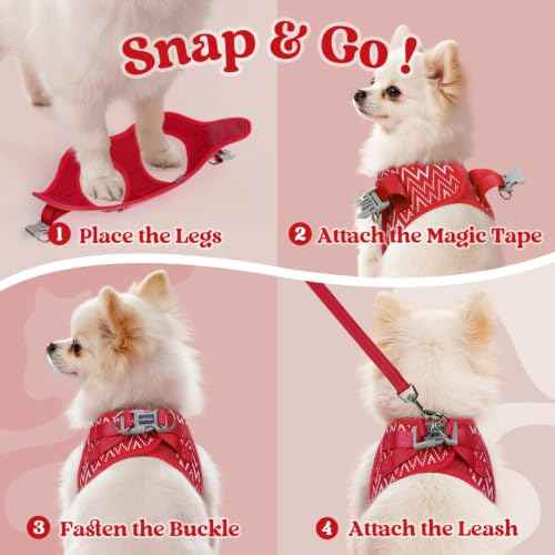 Dog Harness Small Sized and Leash Set (Red Wave / XS (Chest: 13.3"-15.5"))