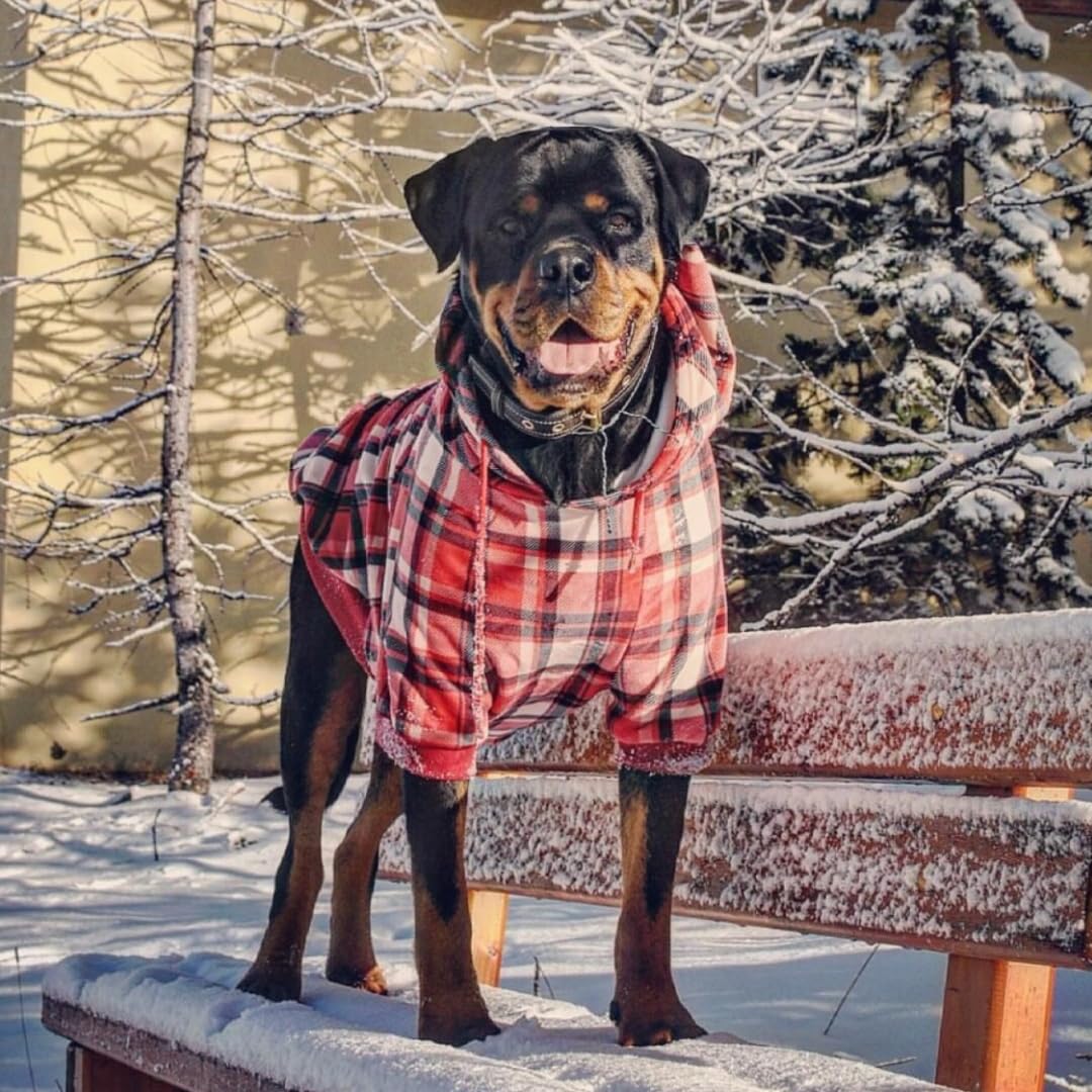 Dog Hoodie Buttery (Red Plaid / Small)