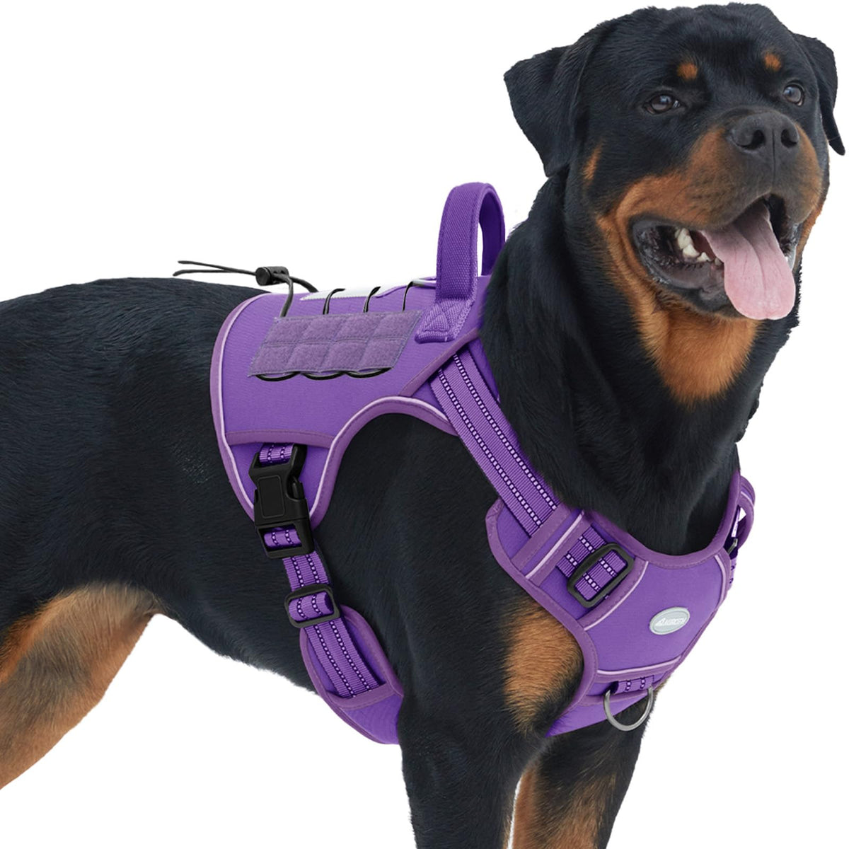 Dog Harness for Large Dogs (Purple / L(Neck:18-29",Chest:24-37"),45-80 lbs)