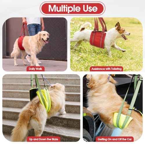 Dog Lift Harness (Fluorescent Green / M)