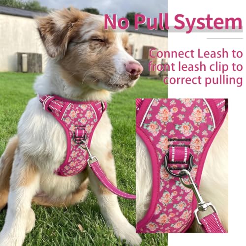 No Pull Large Dog Harness (L / Flower Rose)