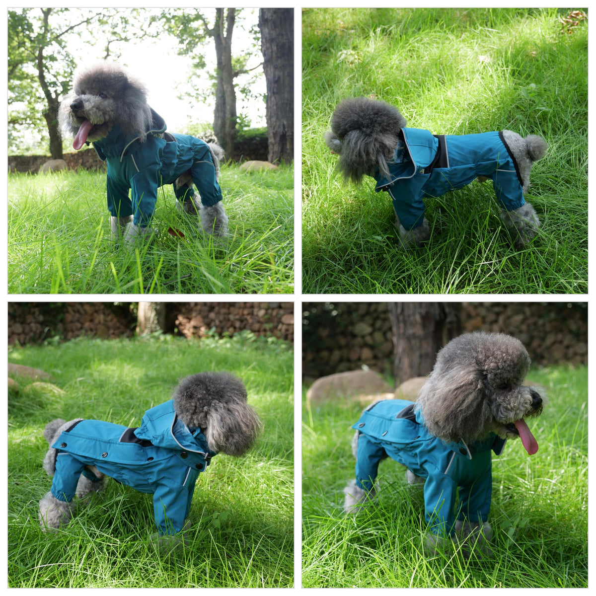 Waterproof Dog Raincoat with Removable Hood (Ocean Teal / M (Back 14"))