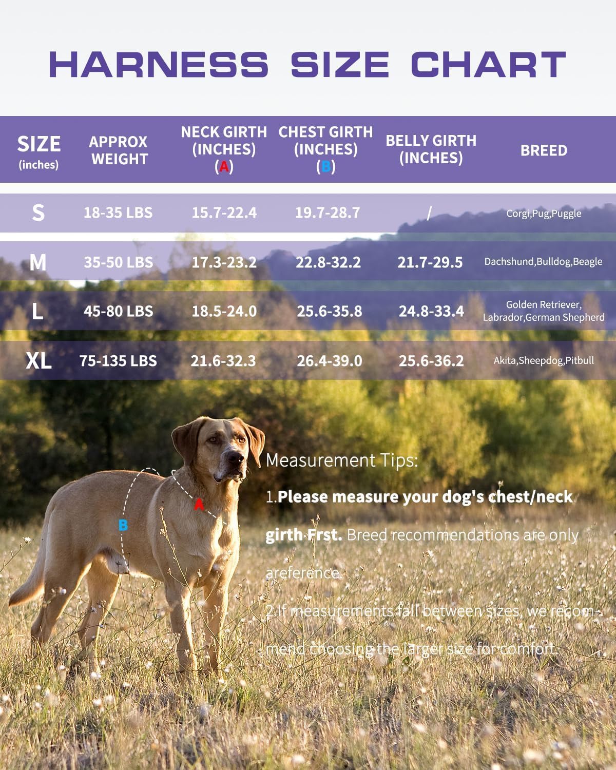 Dog Harness Tactical No Pull for Small Sized Dog with Handle (Purple Camo / S(Neck:16-22",Chest:20-28"),18-35 lbs)