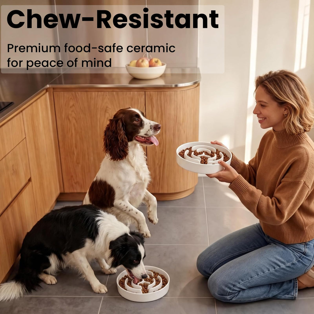 2 Pack Ceramic Slow Feeder Dog Bowls 1.6 Cups for Medium & Small Fast Eater (White + White / 2 Pack M - 1.6 Cups)