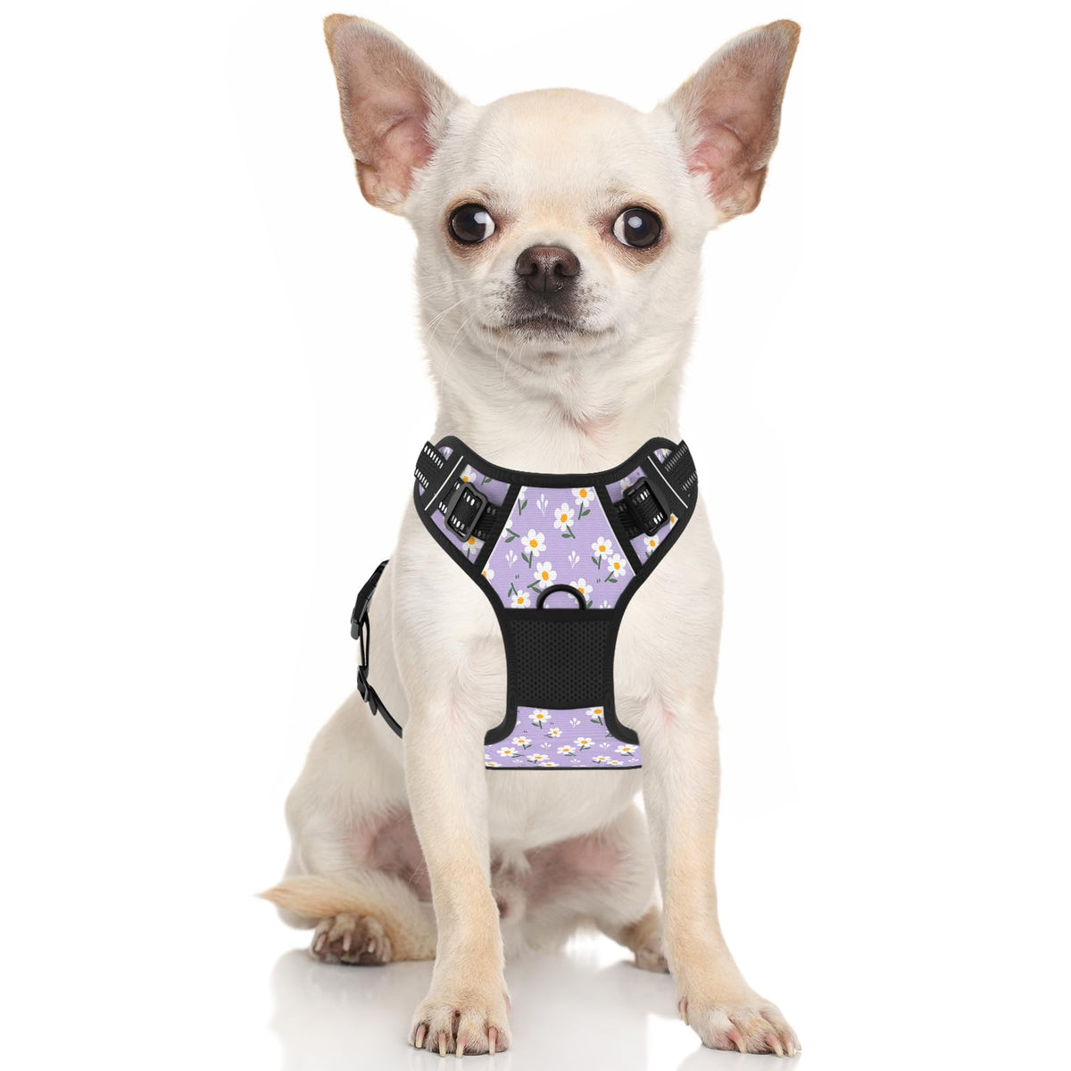 No Pull Dog Harness (Purple White Floral / X-Small)