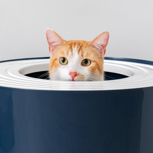 Top Entry Cat Litter Box (Top Entry / Navy)