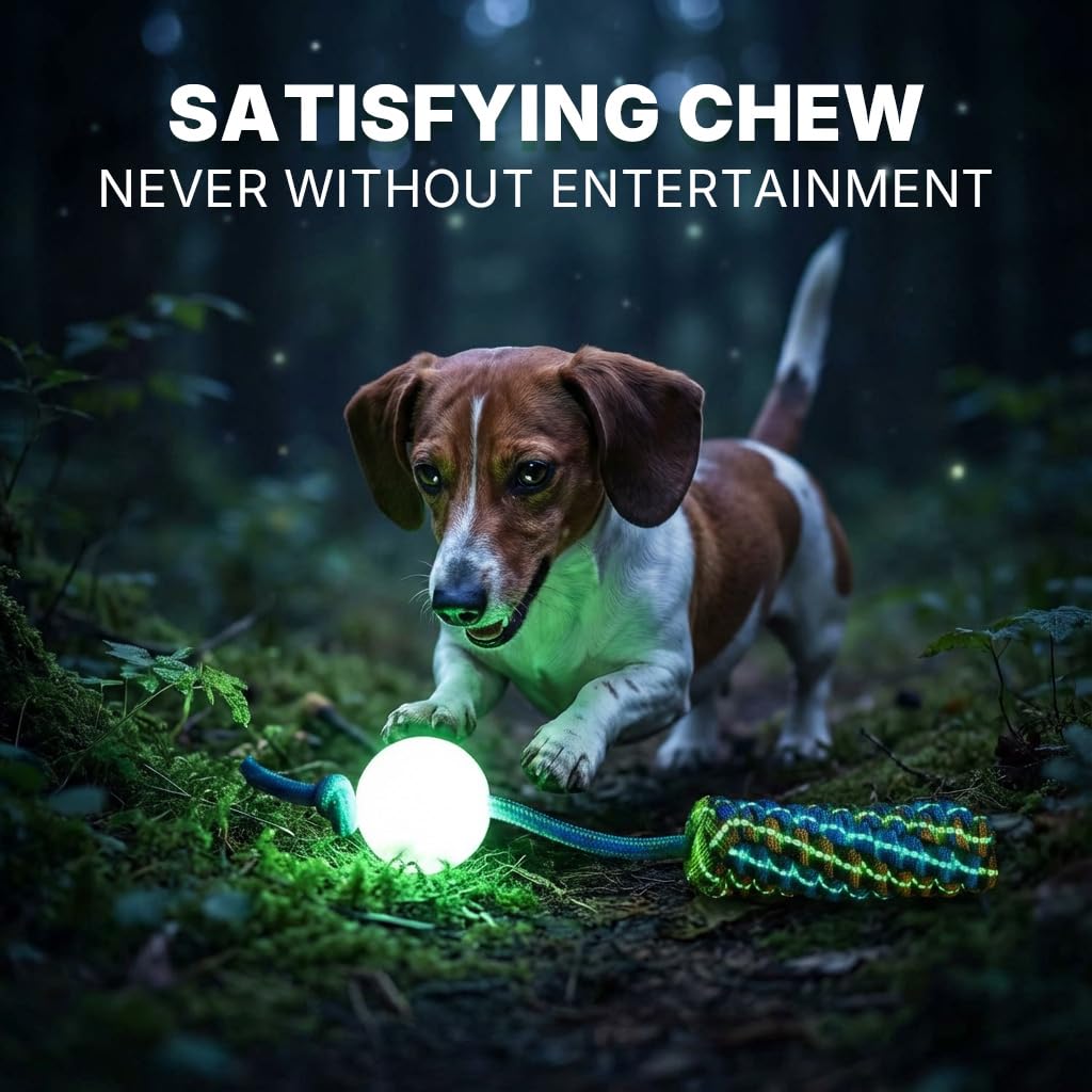 Knot Rope Dog Chew Toys (Comet Ball)